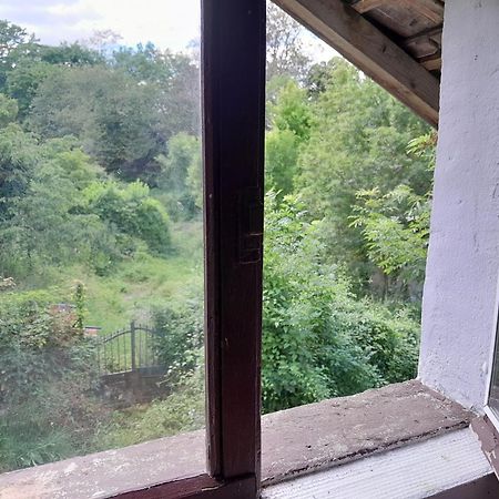 Le Petit Cele Studio Cosy En Bord De Riviere Figeac Exterior foto