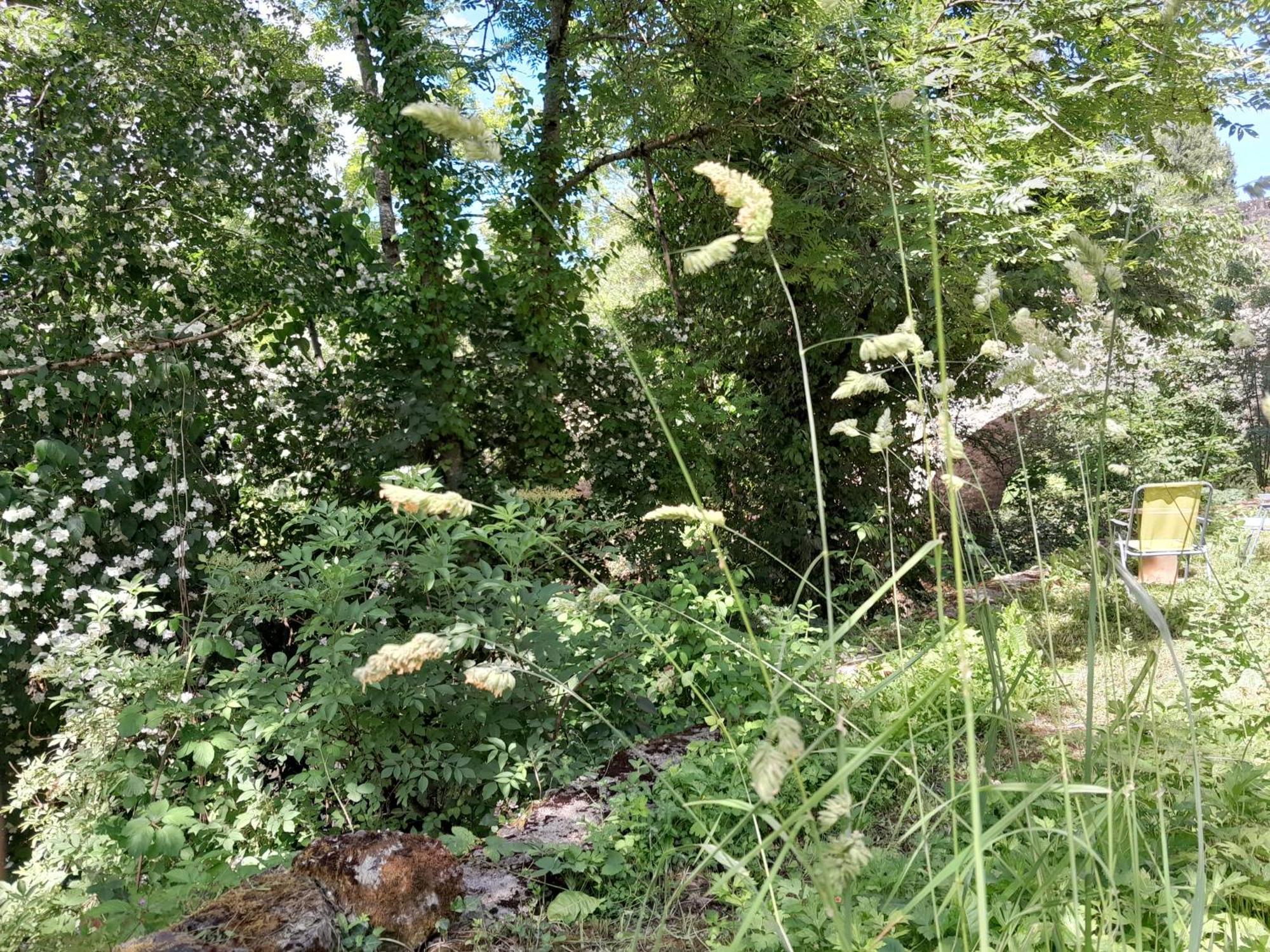 Le Petit Cele Studio Cosy En Bord De Riviere Figeac Exterior foto